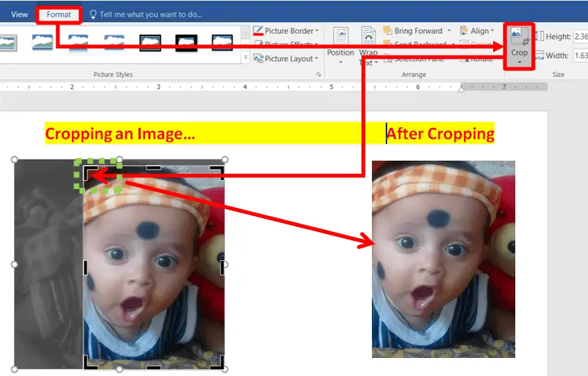 Cropping-an-Image in MS Word