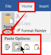 Paste Options in Microsoft Office Word