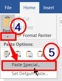Paste Special in microsoft word