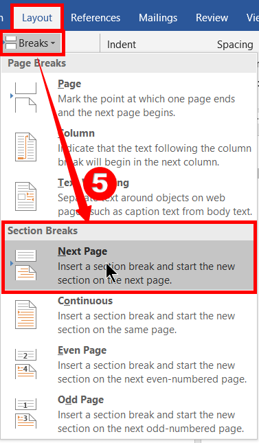 Section break for the next pages in ms word