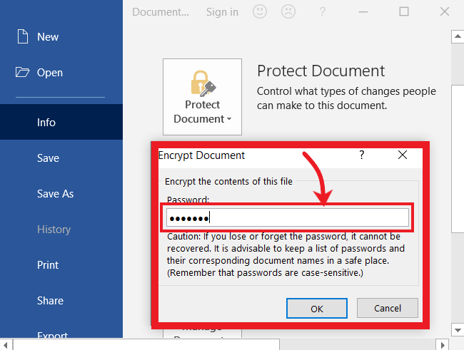 Password Protect Word Document or Excel Workbook with Setting Password
