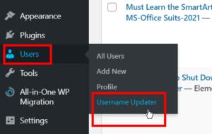 Update-WP-User-Name